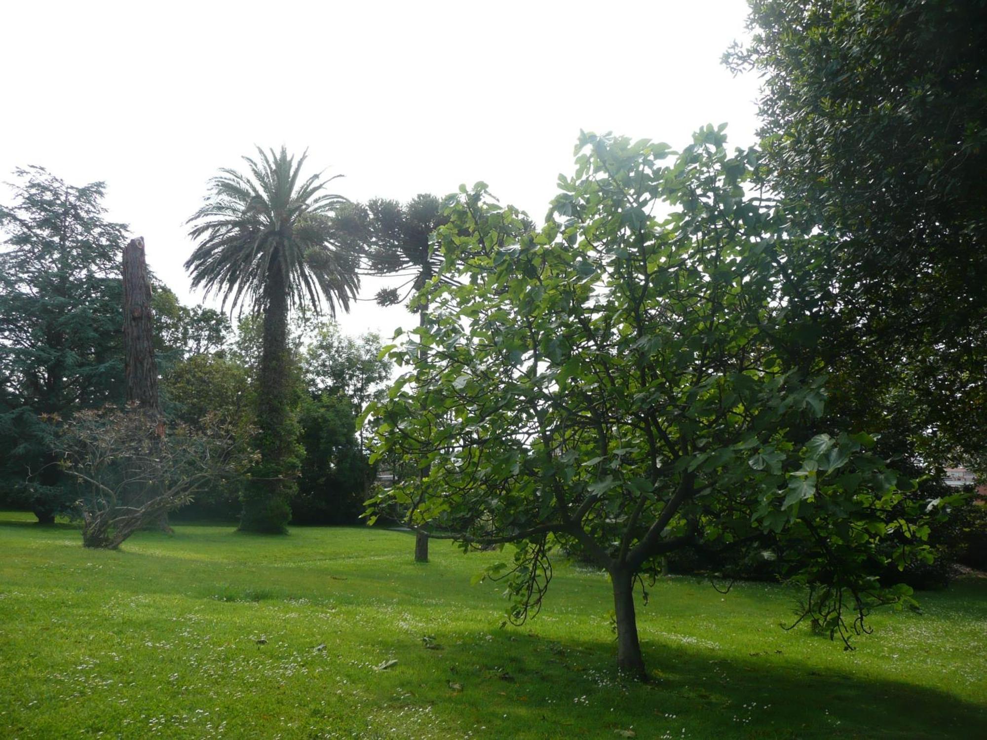 Las Carolinas Garden Сантандер Екстериор снимка